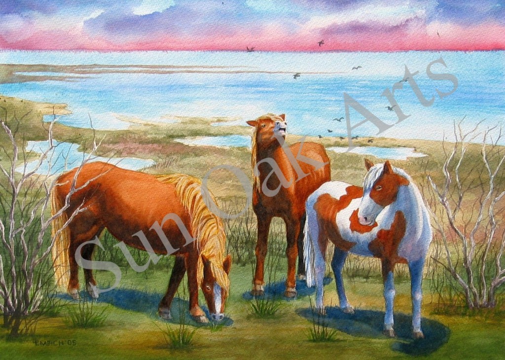 Assateague Ponies