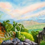 Big Bend