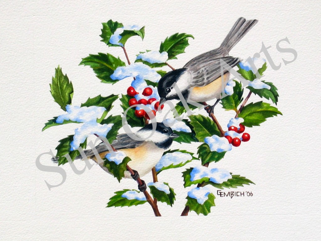 Chickadees on Holly