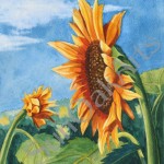 Finding Sun