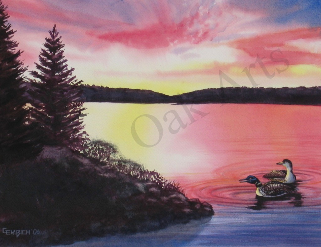 Loons on the Lake