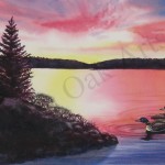 Loons on the Lake