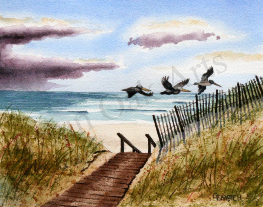 Pelican Run