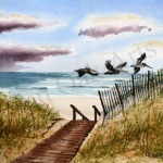 Pelican Run