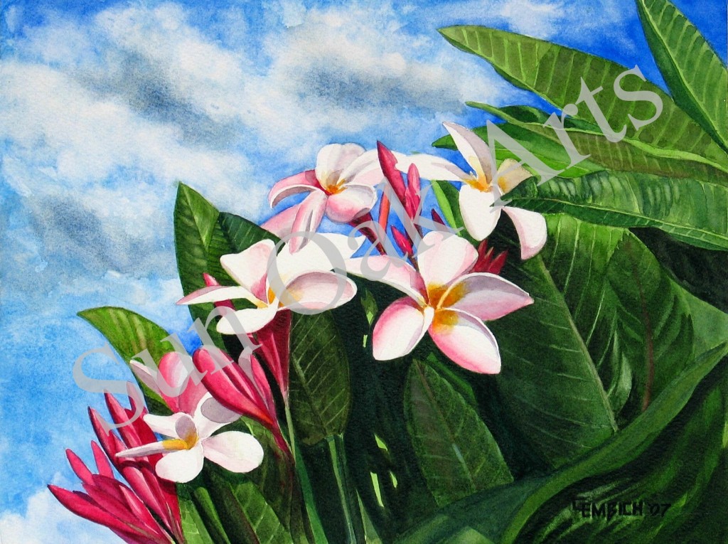 Plumeria
