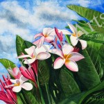 Plumeria