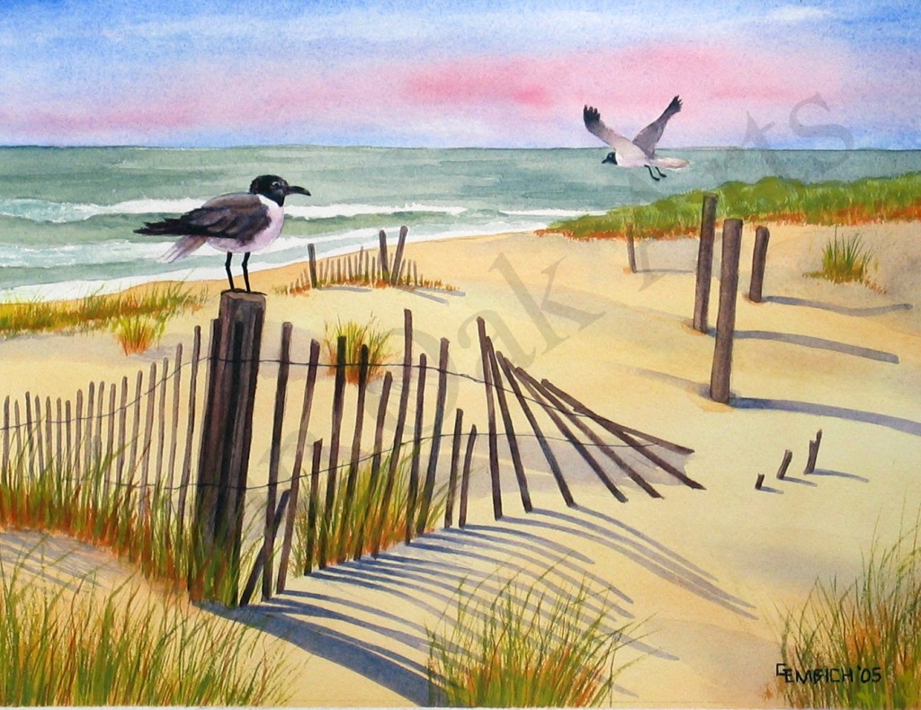 Seashore