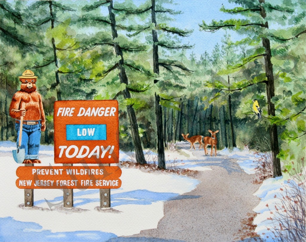The Pinelands National Reserve
