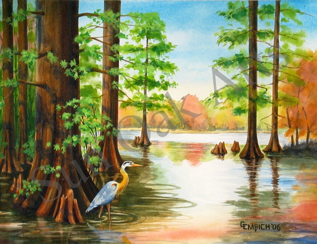 Trap Pond State Park, Sussex County