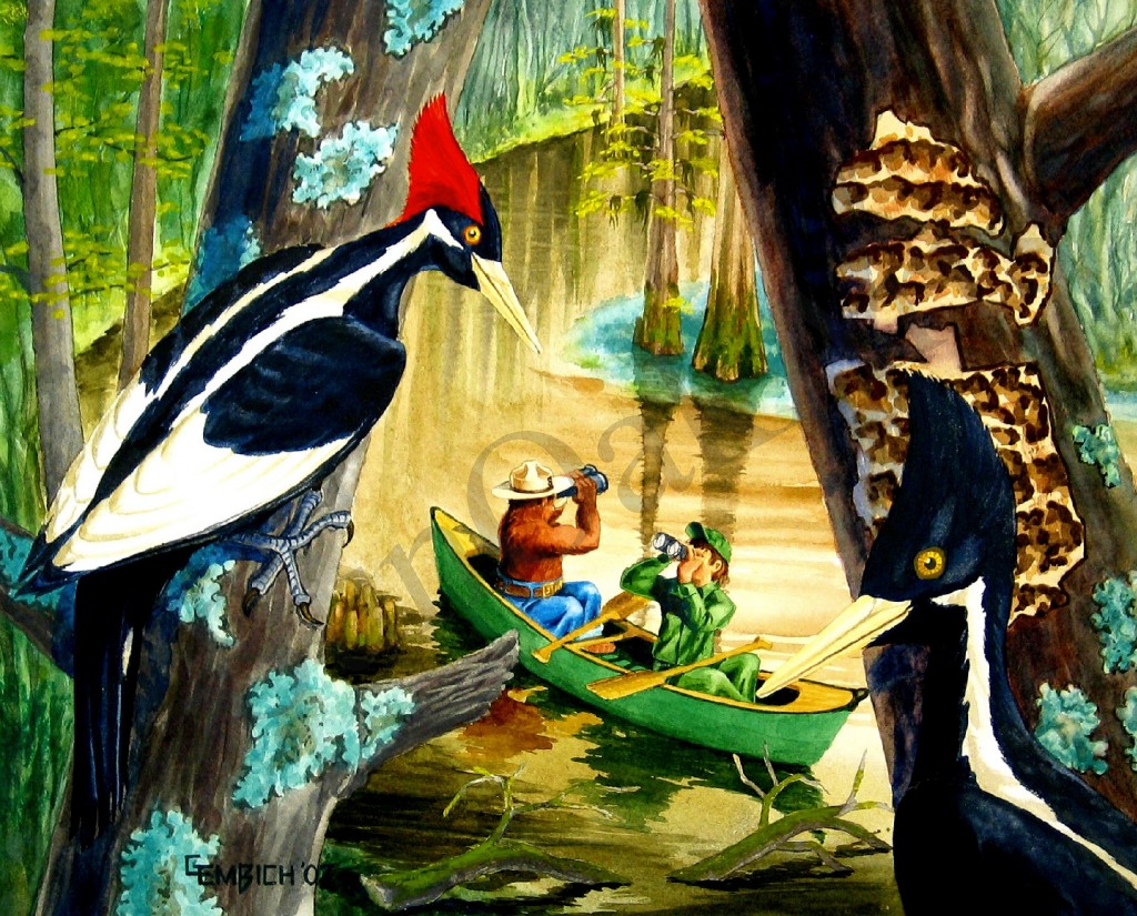 Cache River National Wildlife Refuge