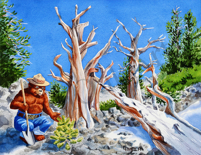 Great Basin National Park
