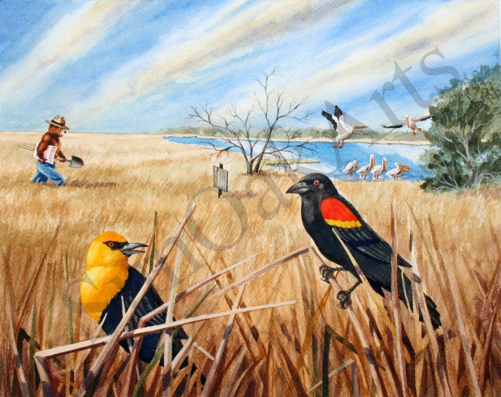 Quivira National Wildlife Refuge