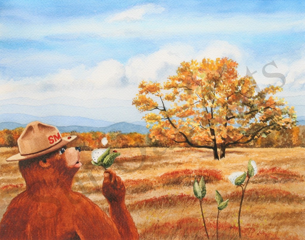 Big Meadows, Shenandoah National Park