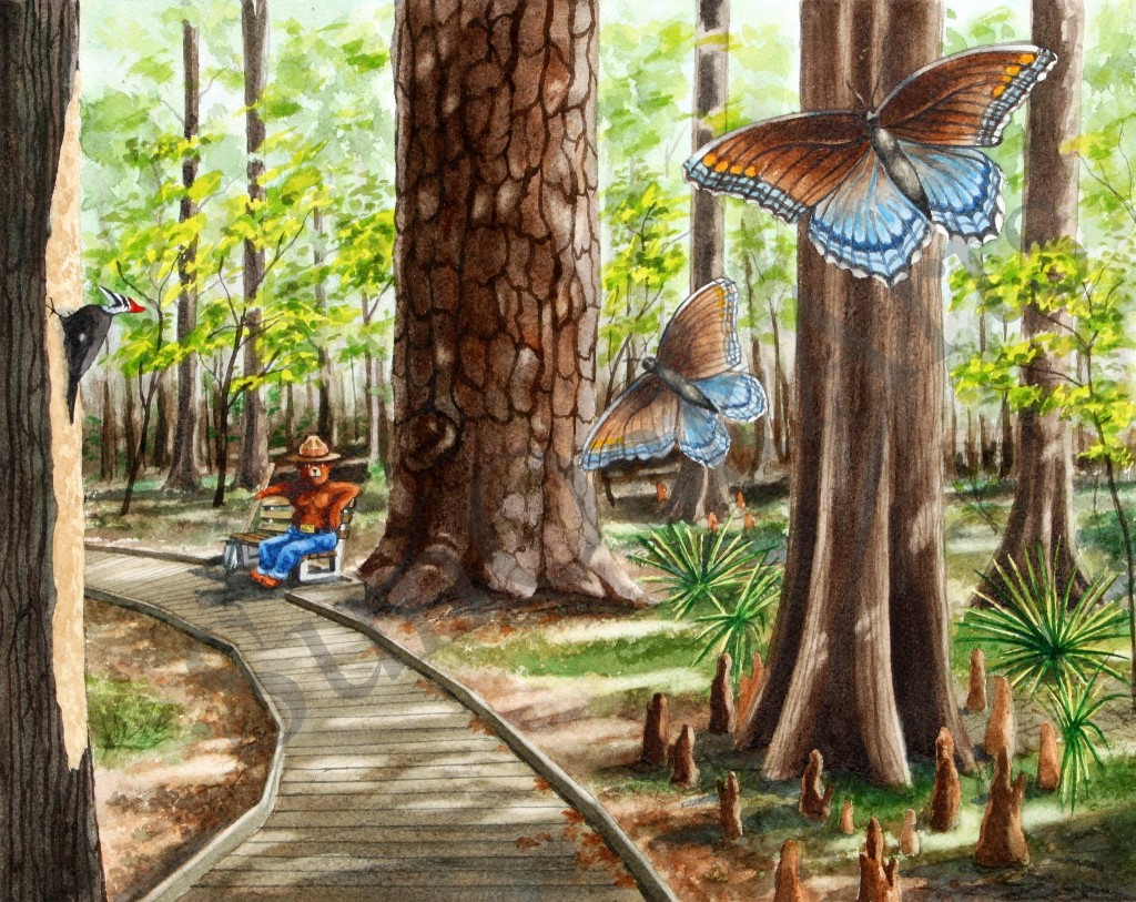 Congaree National Park