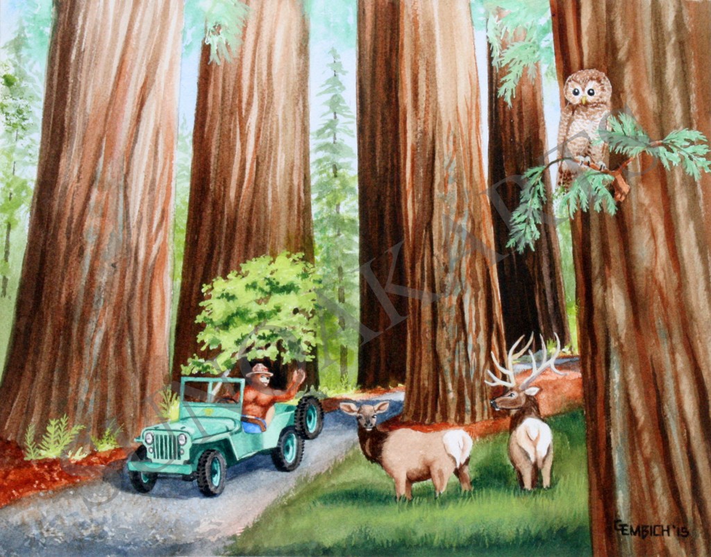 Redwood National and State Parks