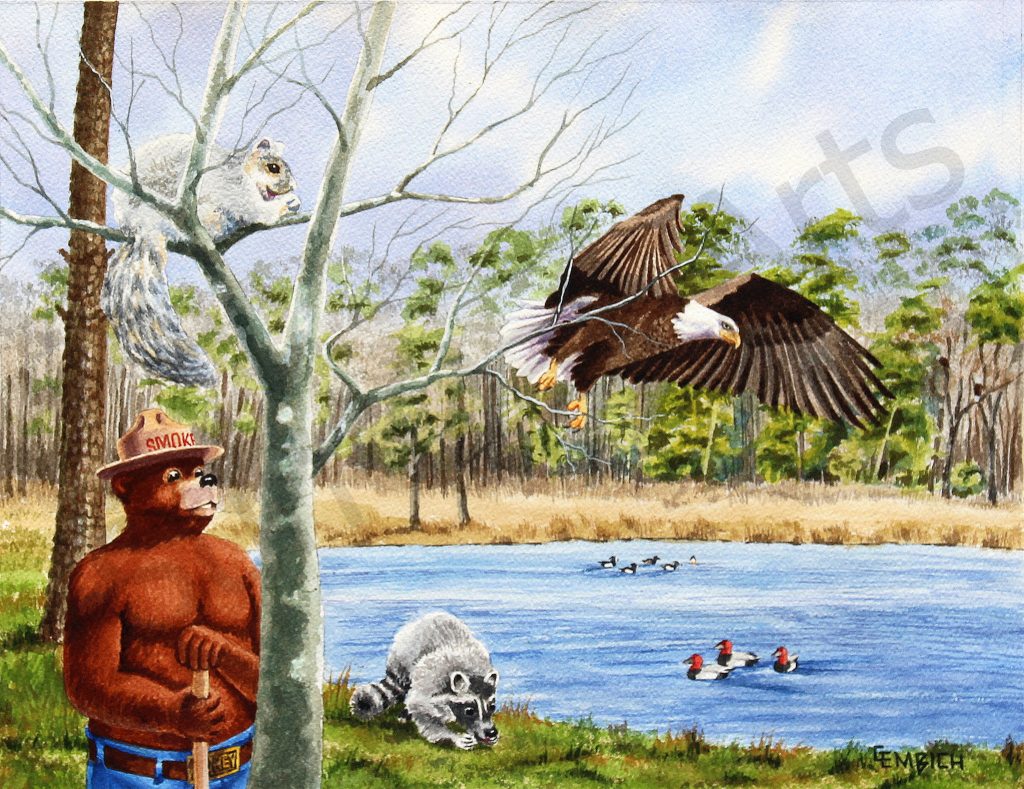 Blackwater National Wildlife Refuge