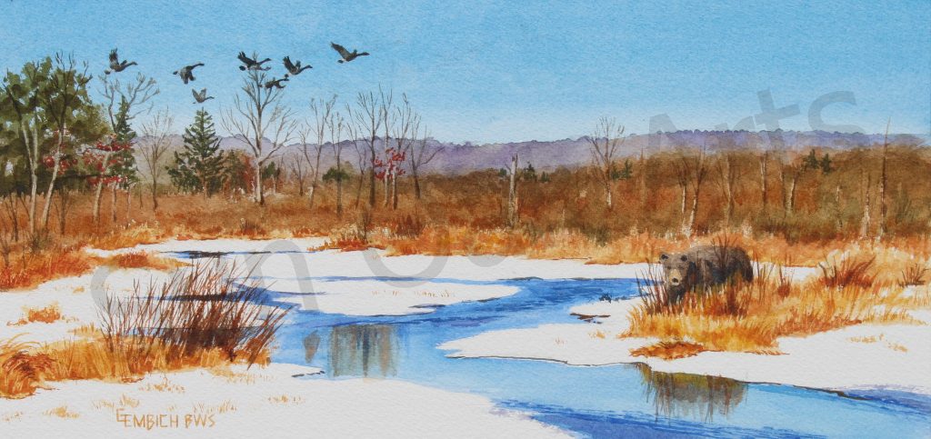 Pocono Flats