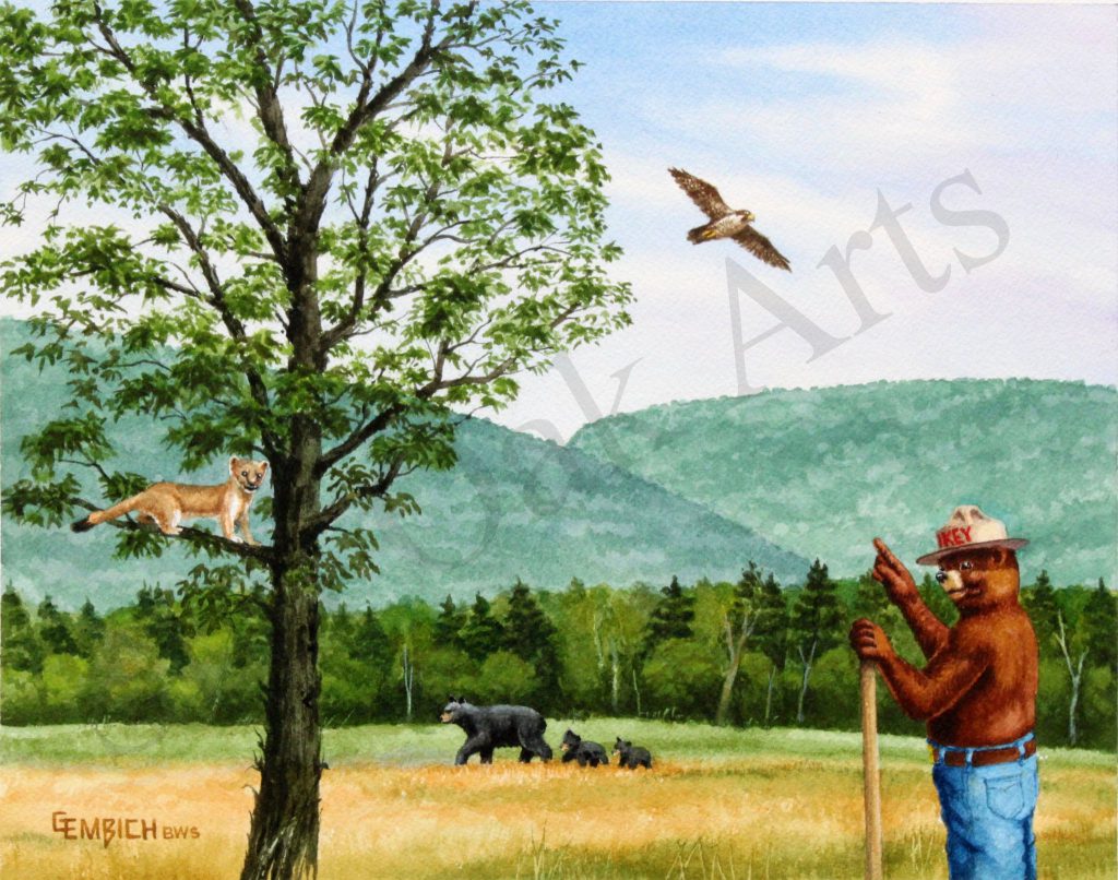 Catskill Forest Preserve