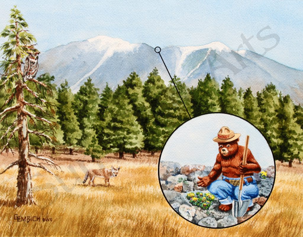 Humphreys Peak