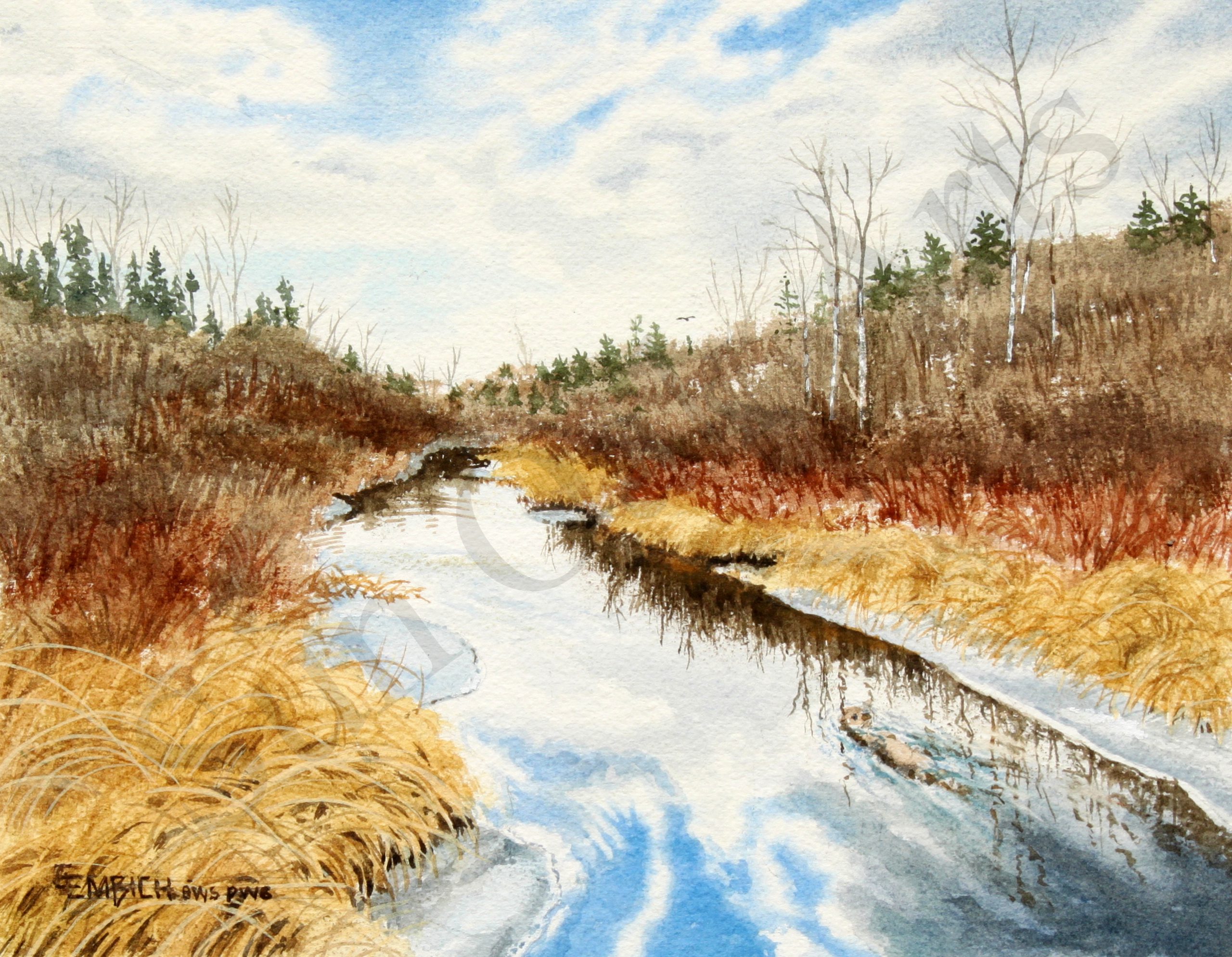 Cranberry Creek